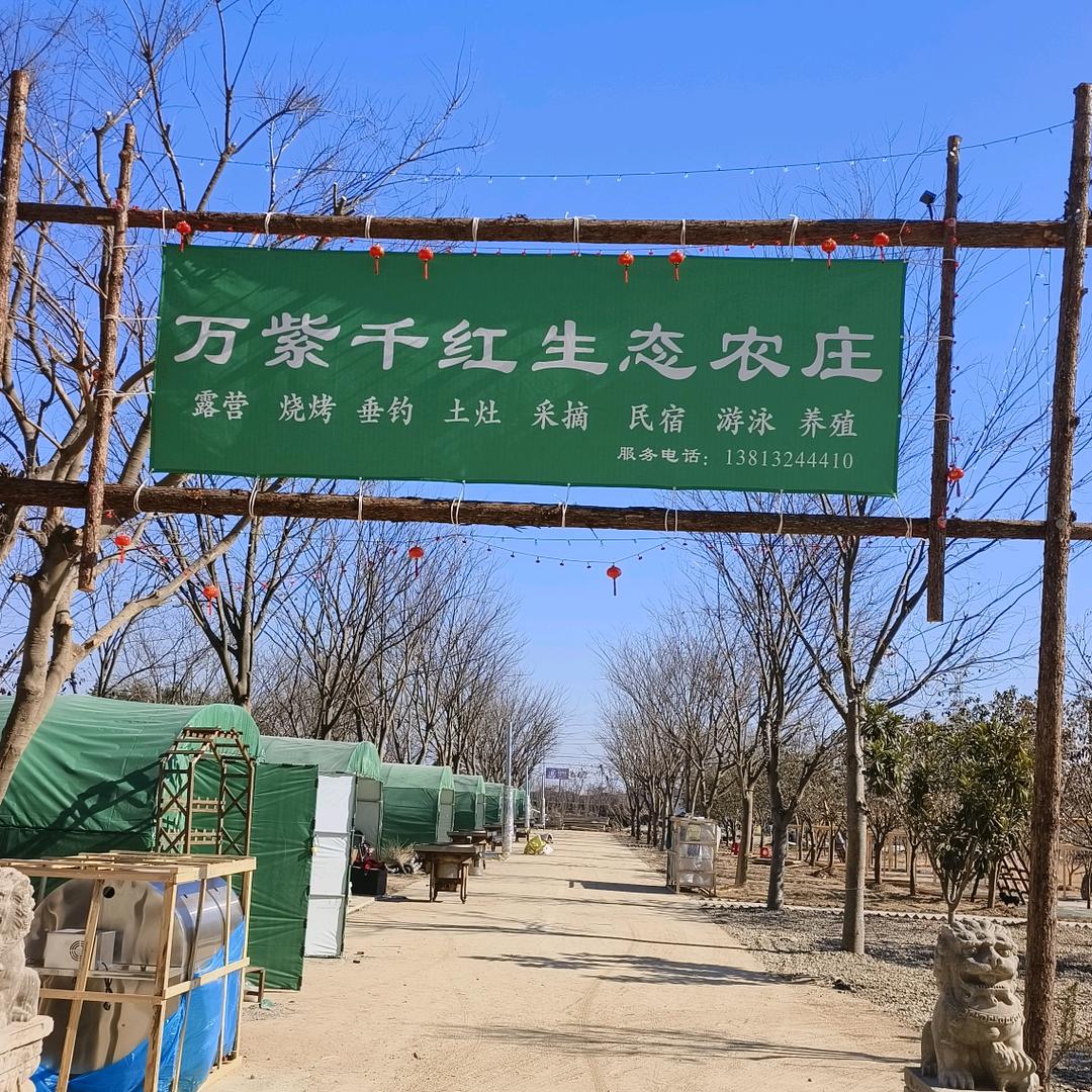 万紫千红露营基地