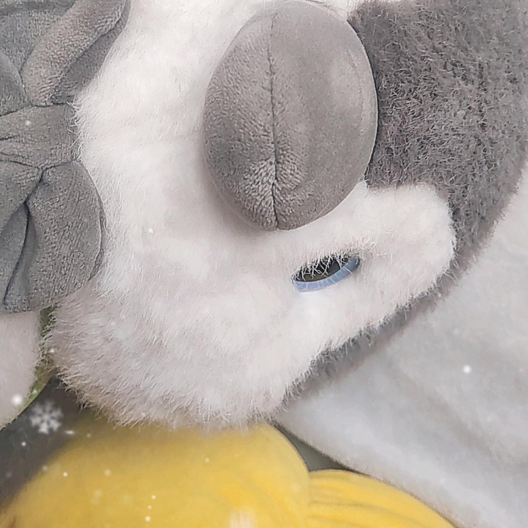 『夕_苒』