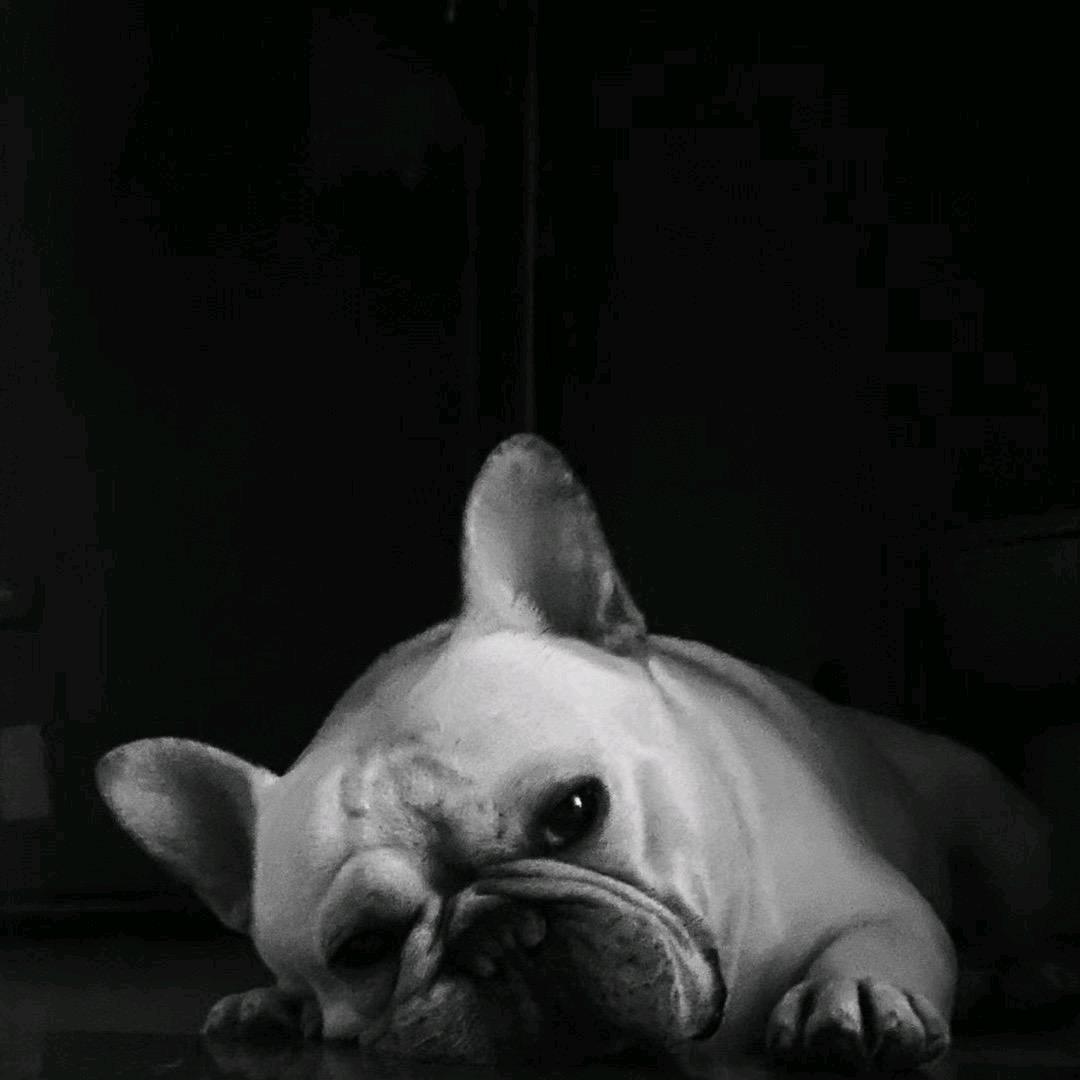 ✓王  先  生🔥（百善孝为先）