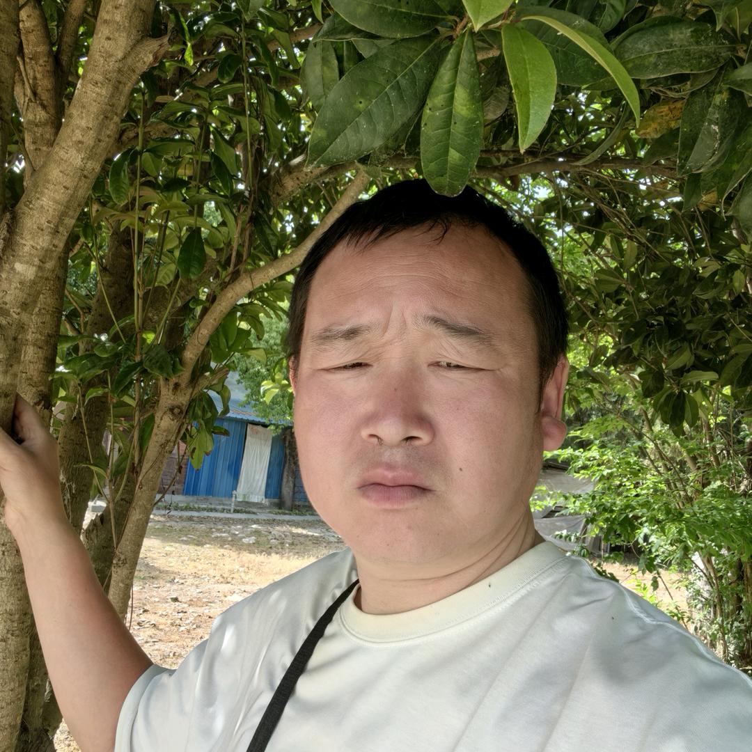 陕西,青山绿水