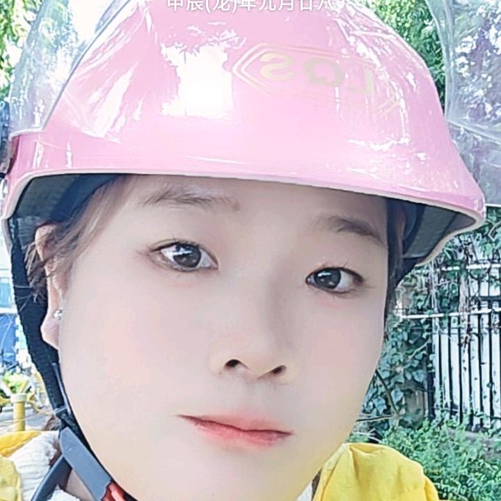 众包逆风蔷薇骑士