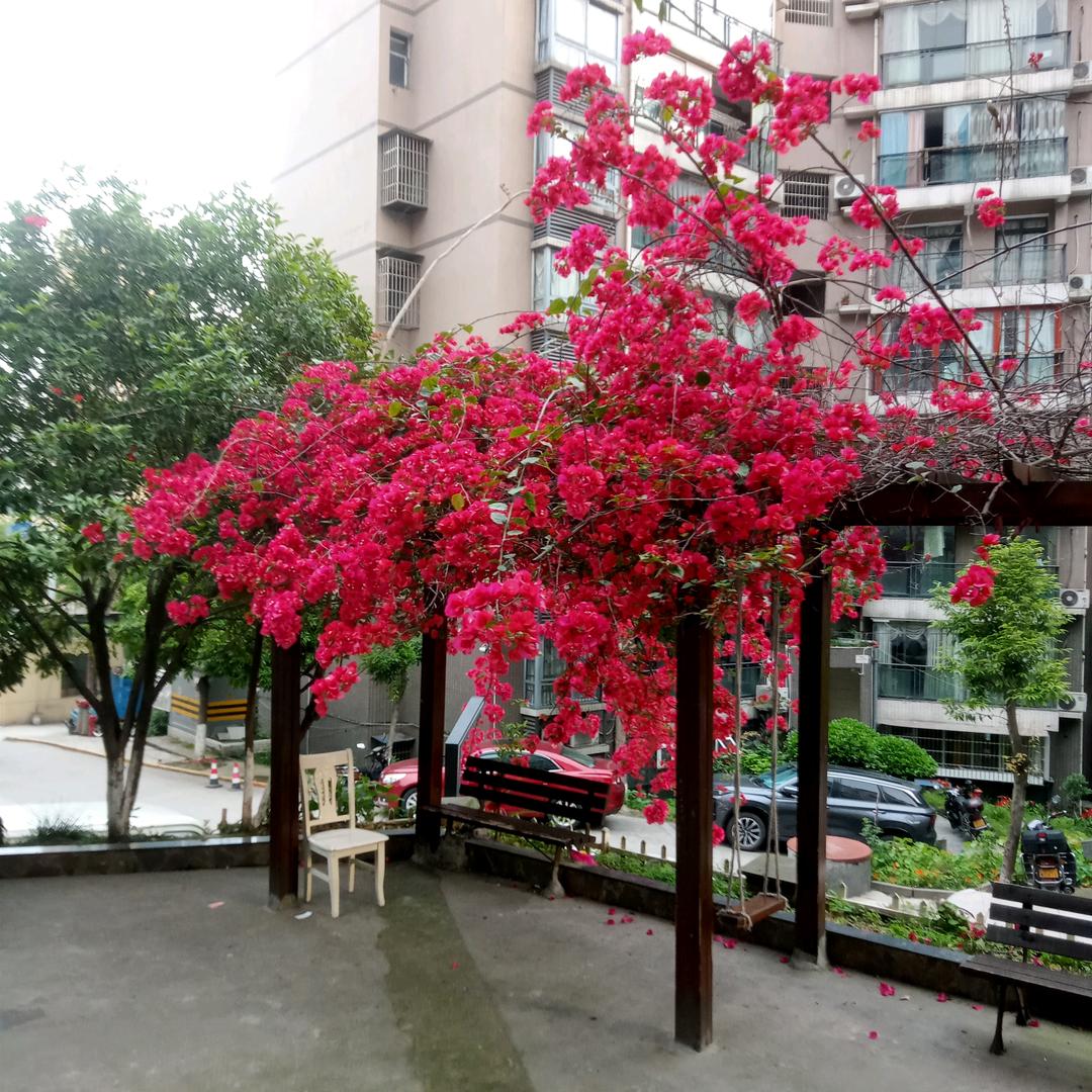 开心快乐过一天