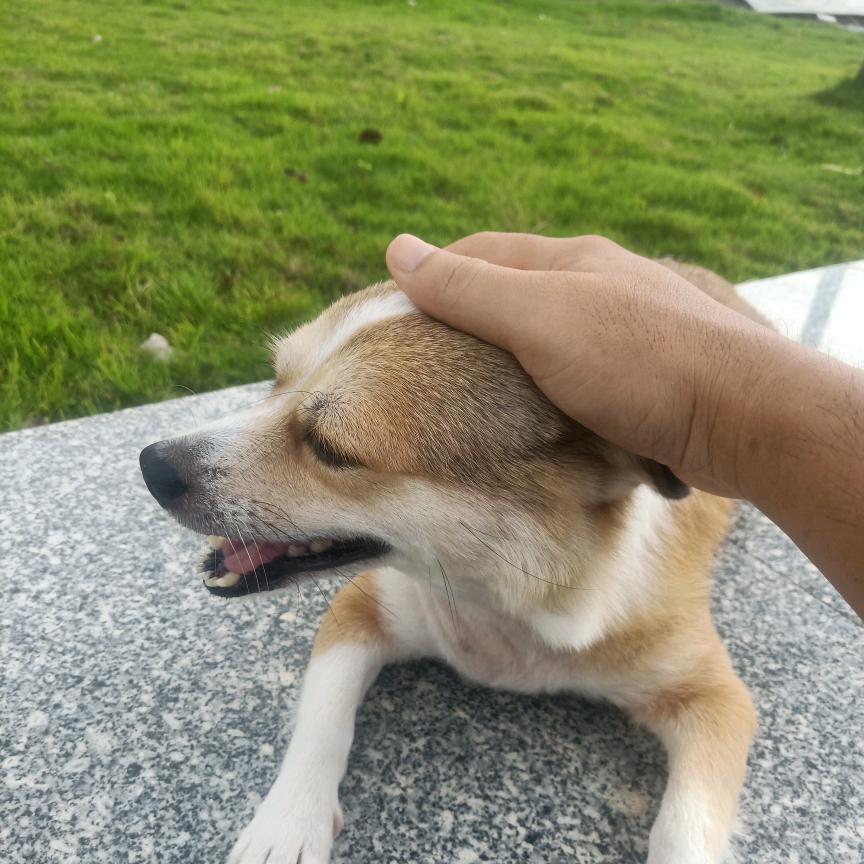 魔鬼筋肉人
