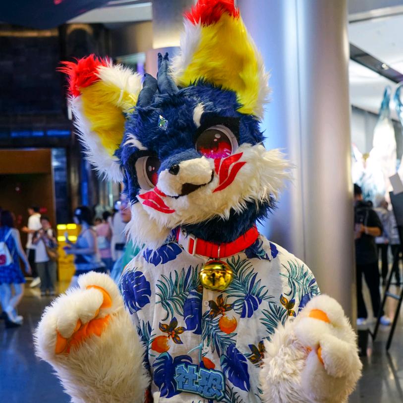 不可食用海鲜（兰晨轻工）