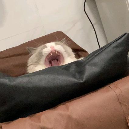 璇