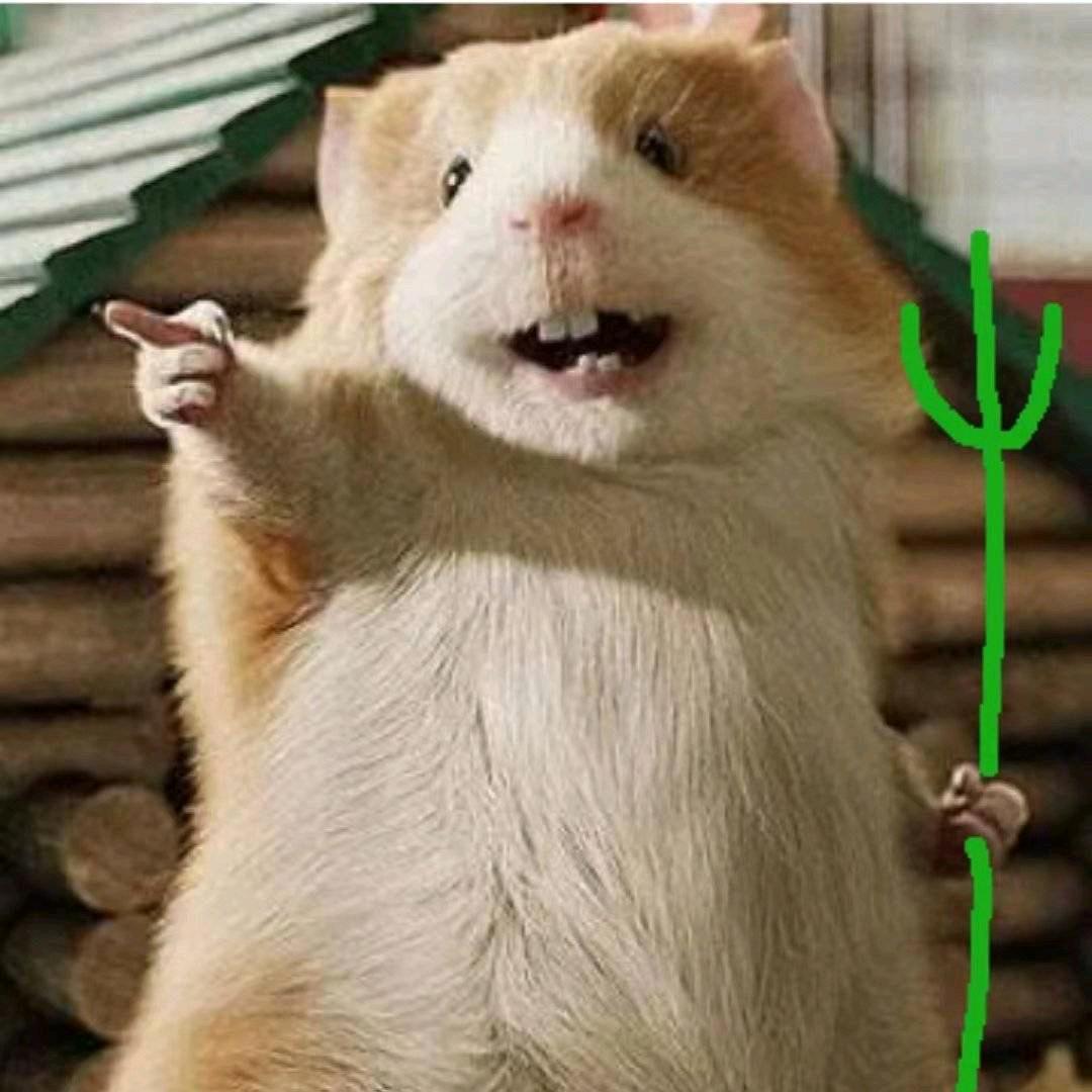 裸哥有雪条（三角洲行动）