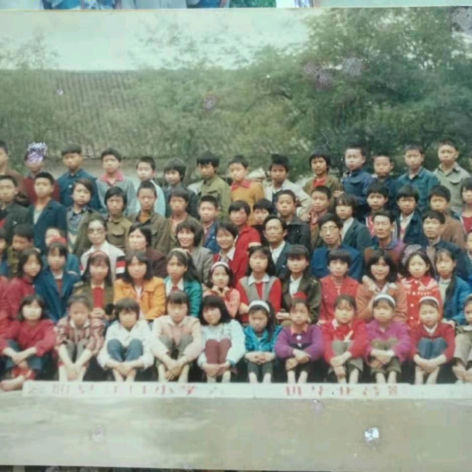 张驰有度金生有你