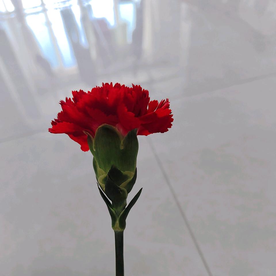 柠檬