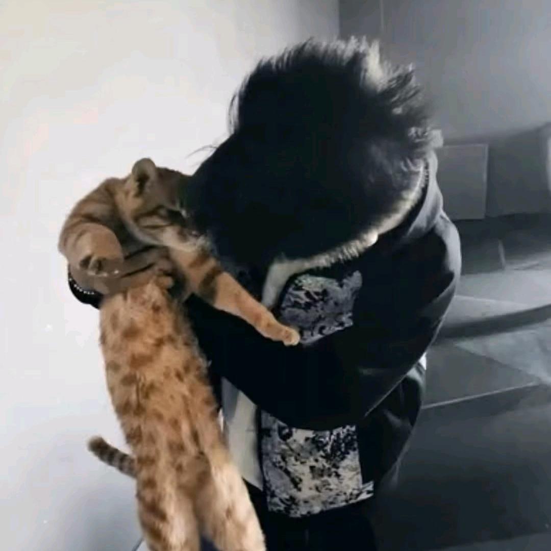 不是本人
