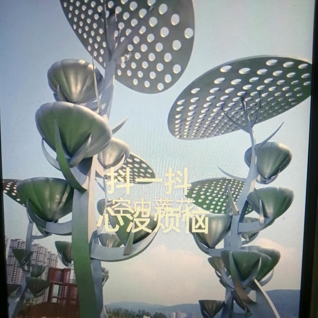 🐳等雨花开🐳