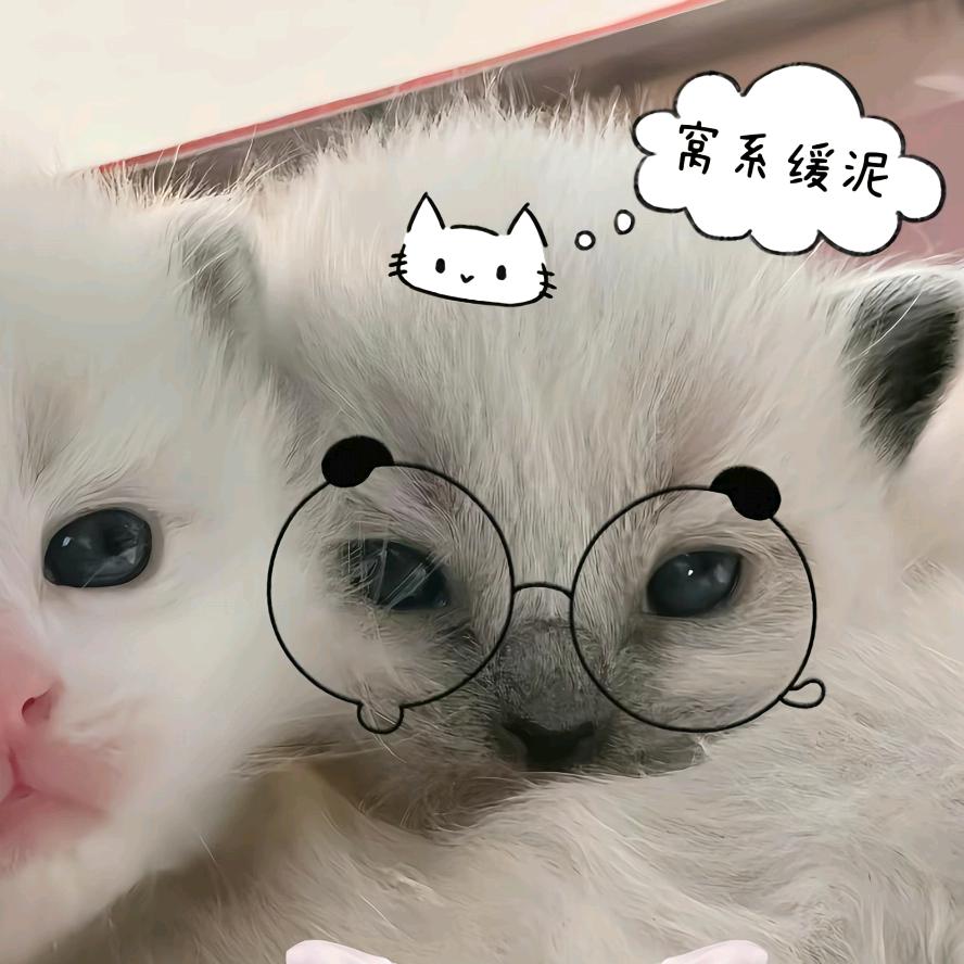 牢到了