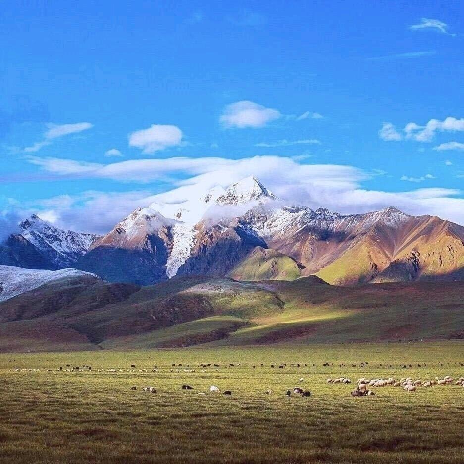 清晨阳光🕊