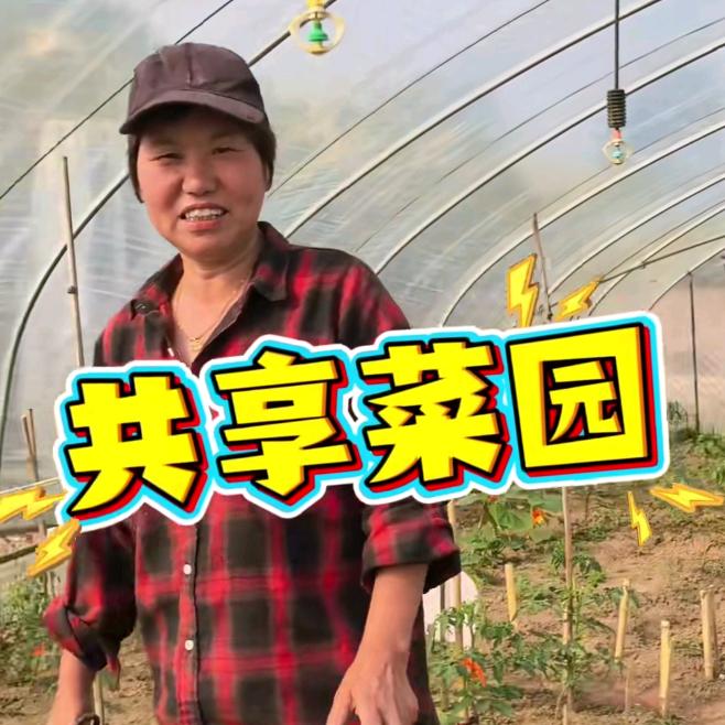 我家菜园子（共享菜园）
