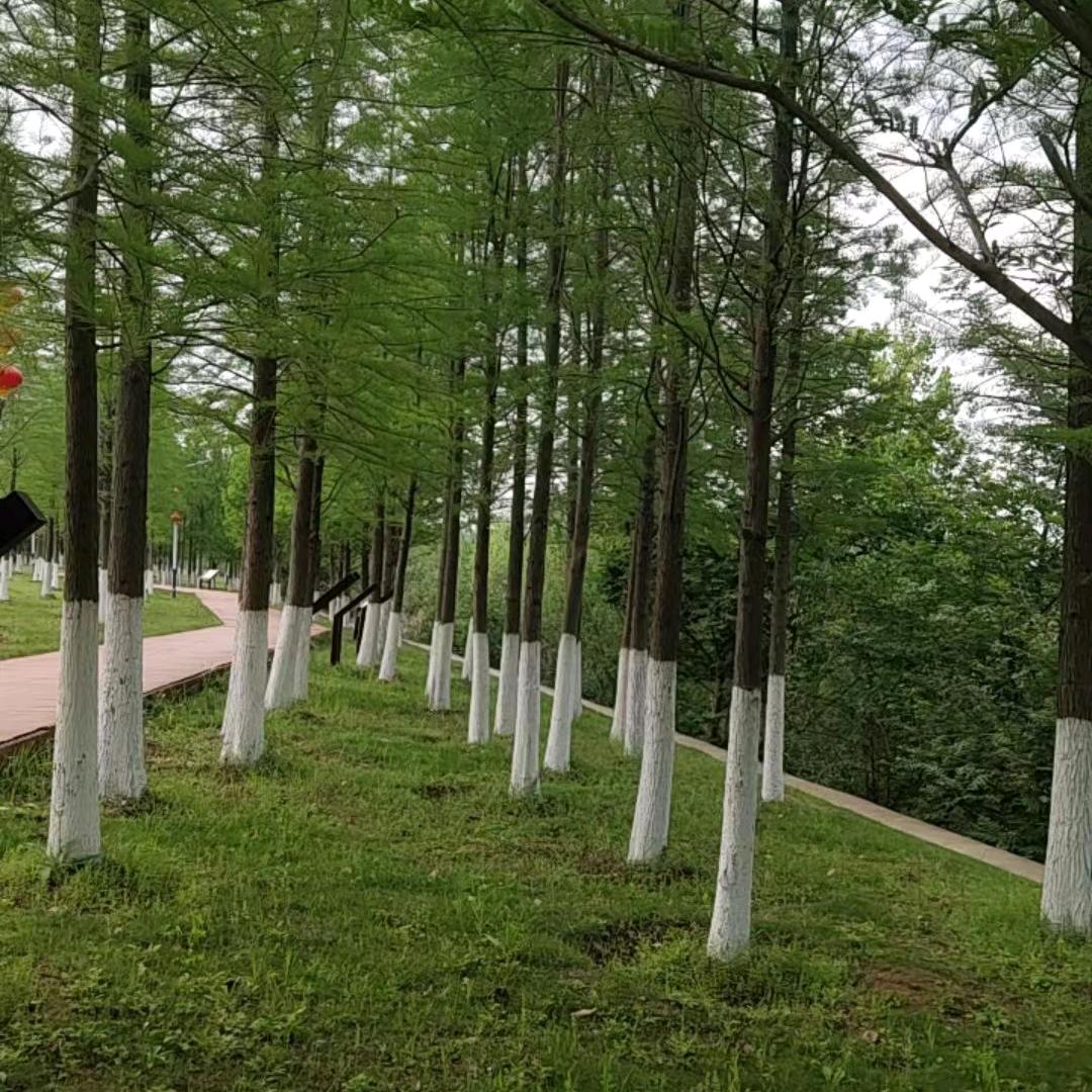 创业劳务服务有限公司（欧阳）