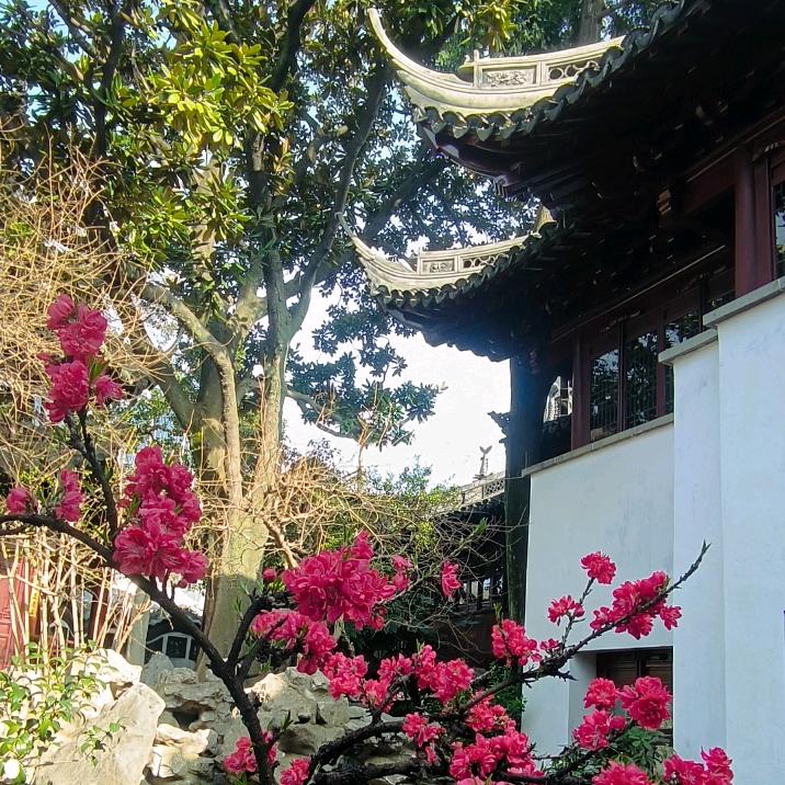 禅境【上海☆豫园】【厨窗有惊喜】