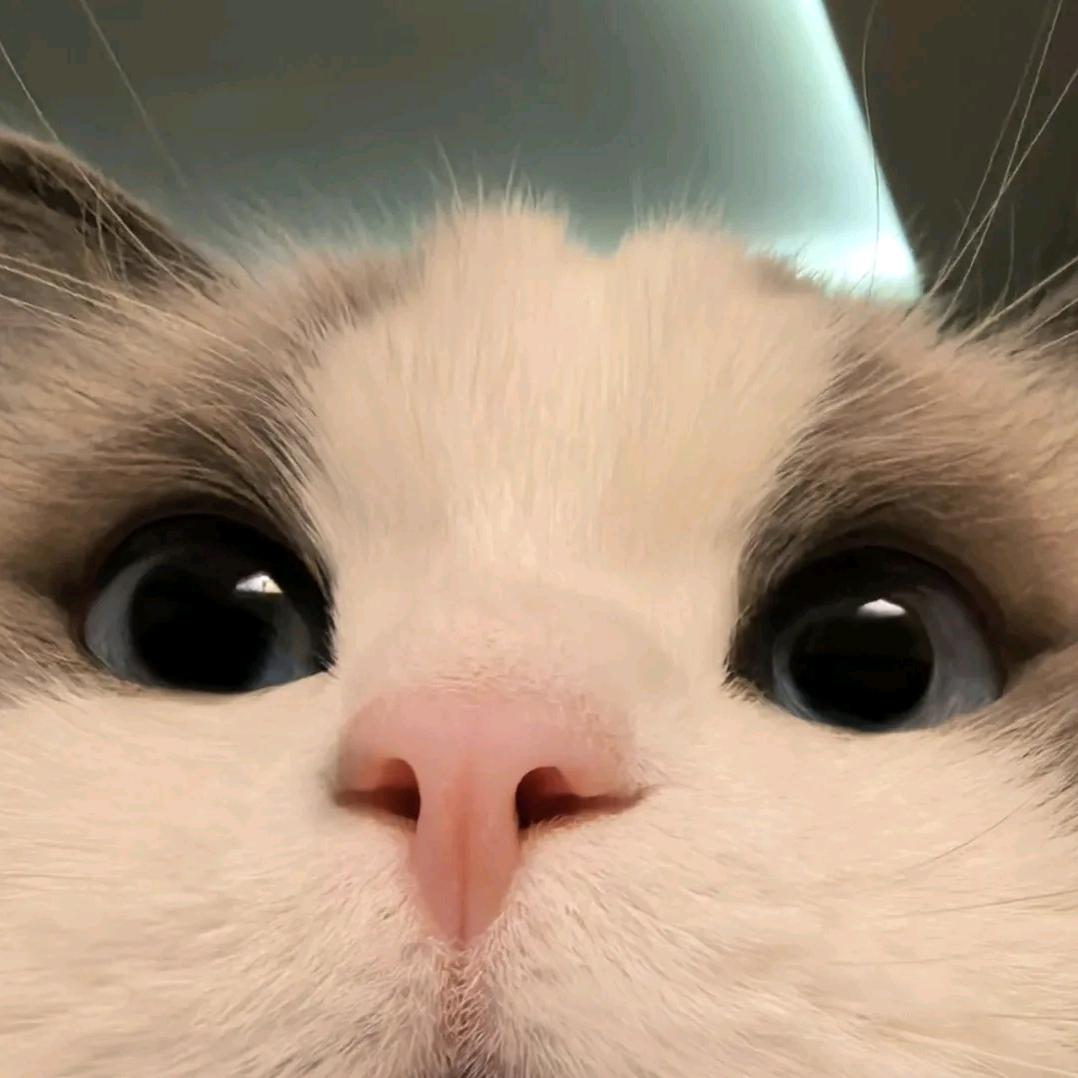 𝙞5𝙣𝙜