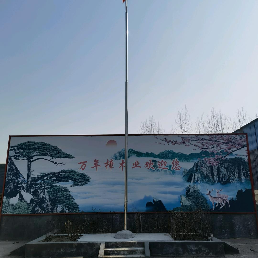 无醛板 ENF板 生态板 万年樟厂家