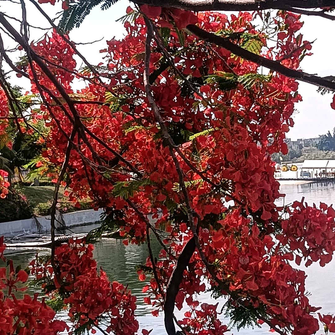 曾经