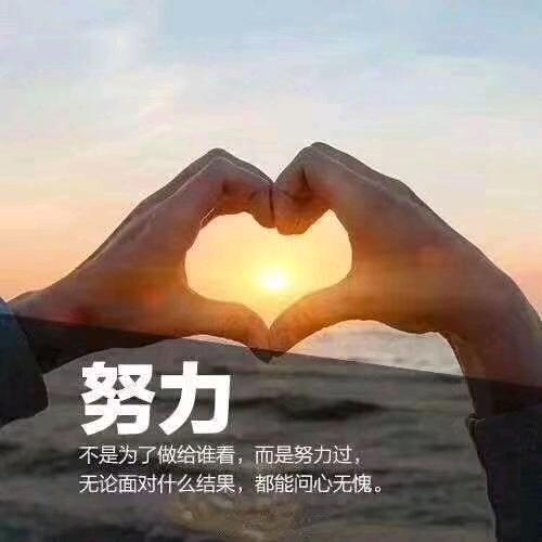 陕蒙煤炭钱多多