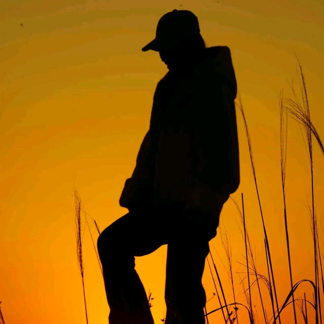 九尾狐（橱窗好物）