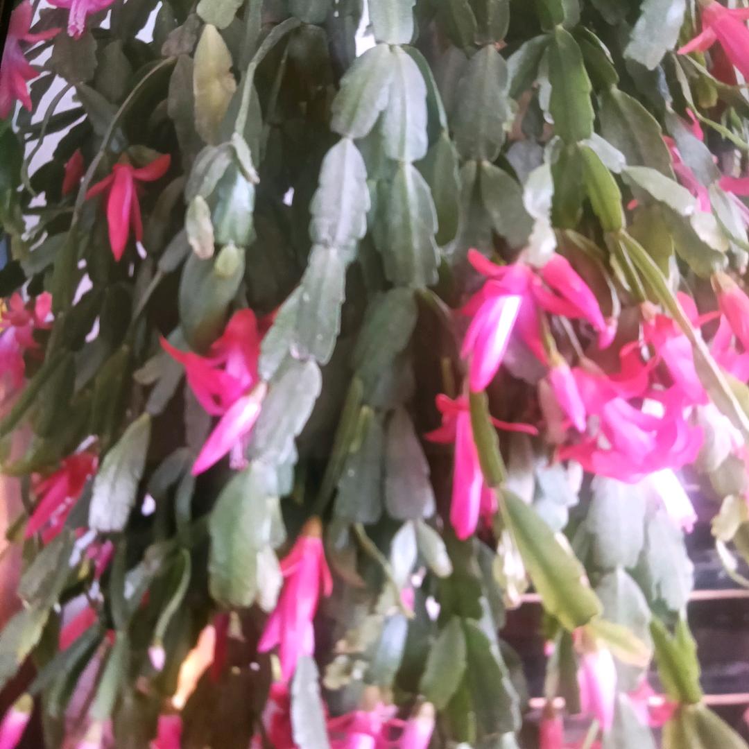 一切🧚‍♂️随缘