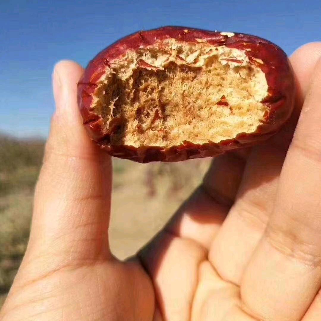 新疆特产【224兵团产地直发】