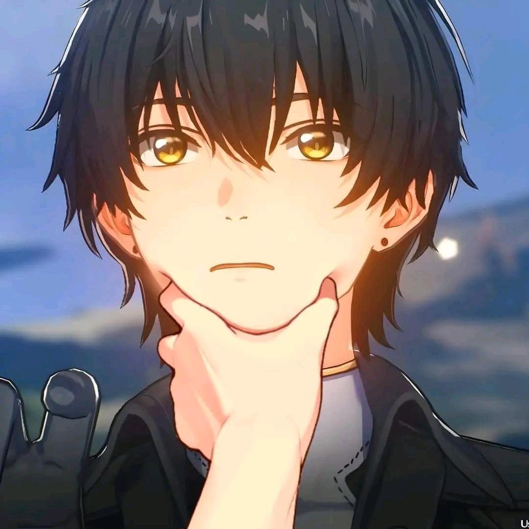 Q。Q