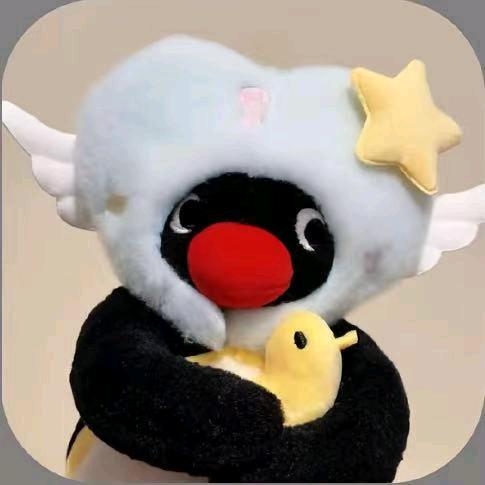 惊鸿一场