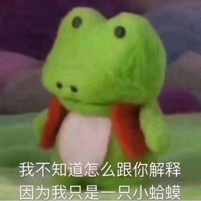 cheater（远光84）