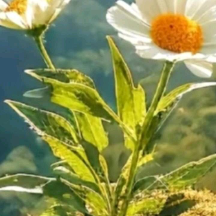 一生平安？健康就行