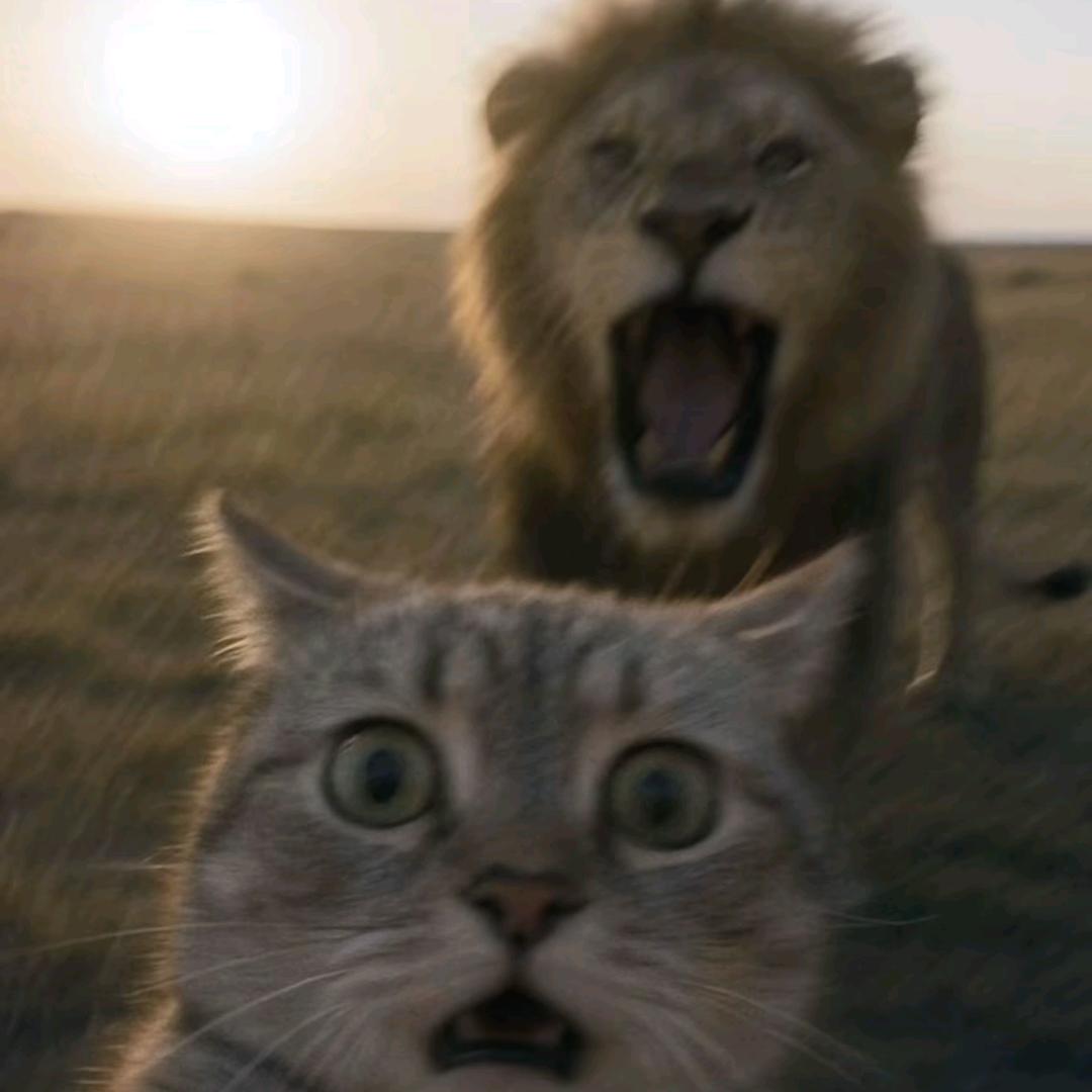 久离（失控进化）