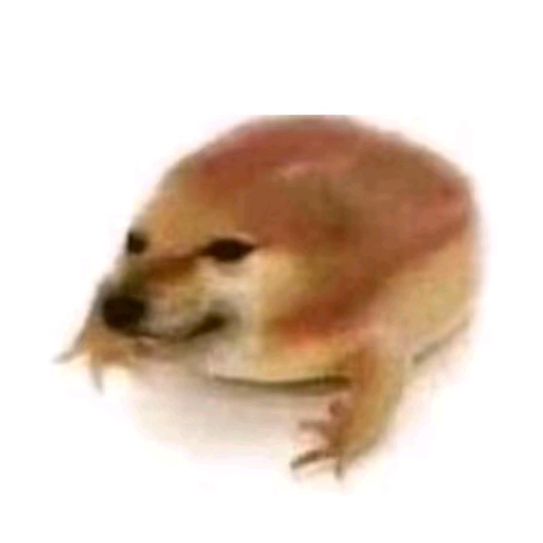 被爱生华