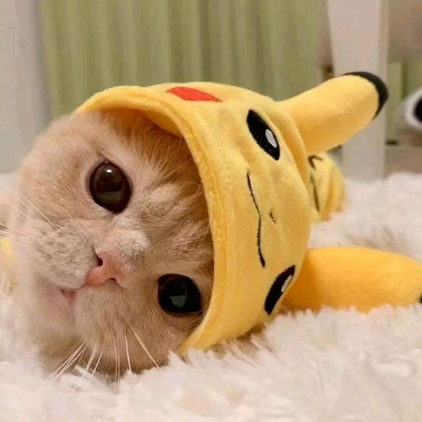 是很舒心呢