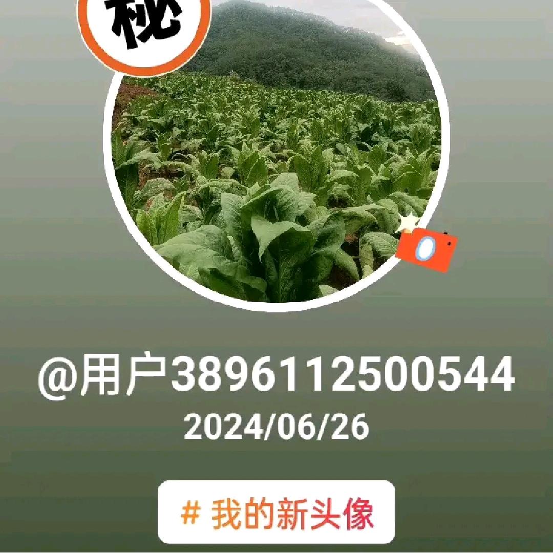 陈䰒李爱