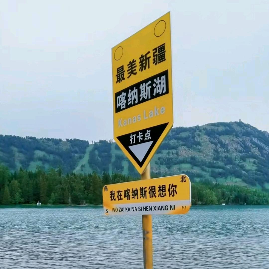 挖土党协会