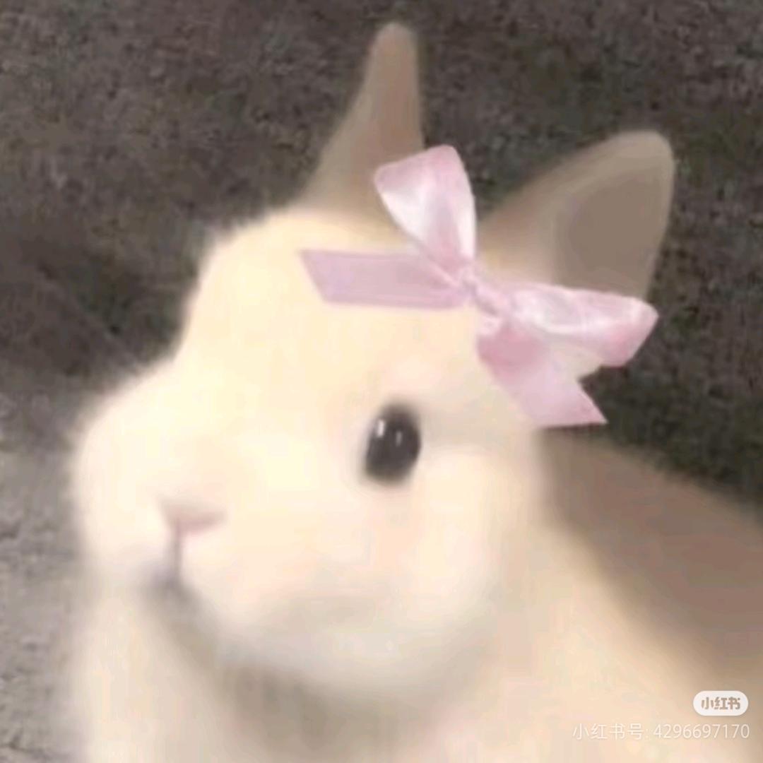 🥕🥕