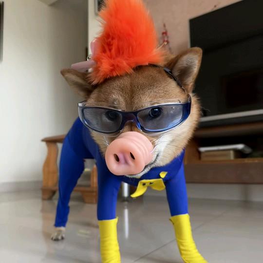 ㅤ一阵清风
