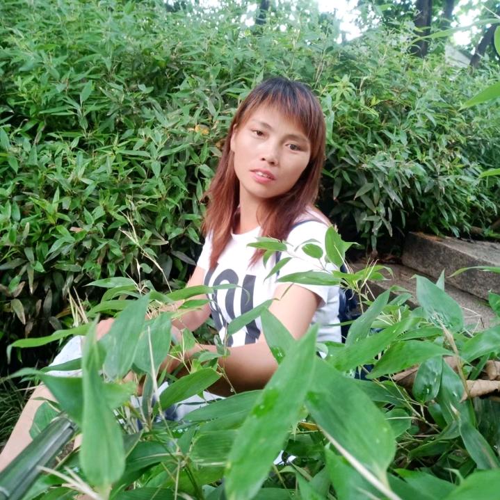 织里租房东梅姐