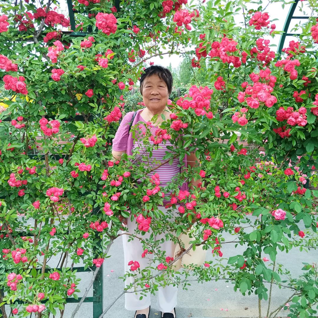 80岁英奶奶勇闯上海滩