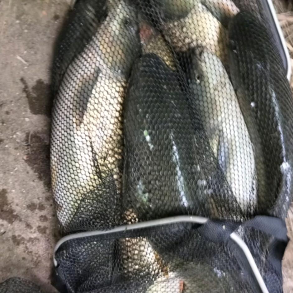 谷麦休闲野钓