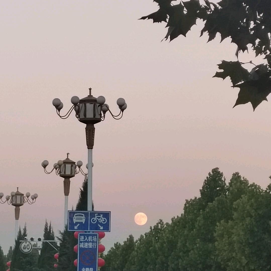兔小宝宝