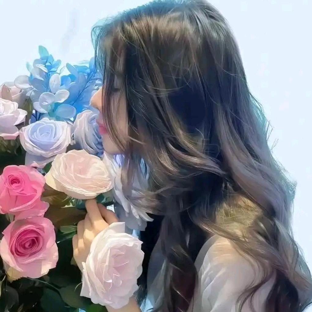 喜相逢《甄选百货》