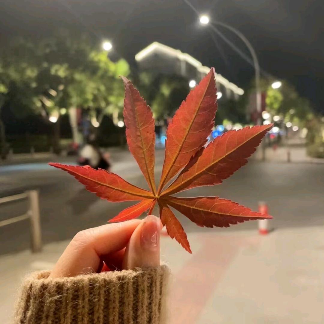 168🍒