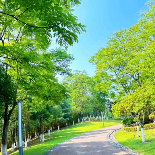 成武房产（兼公益红娘和装修代理）