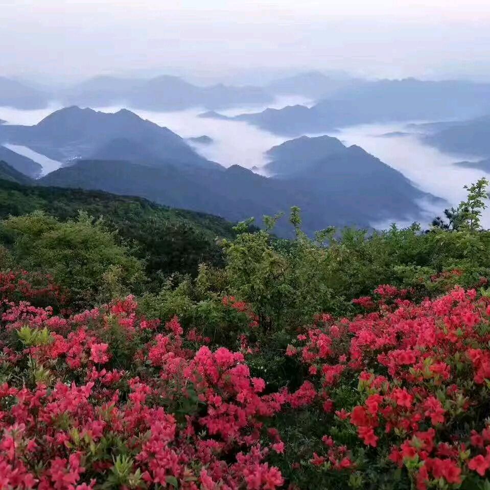 小有