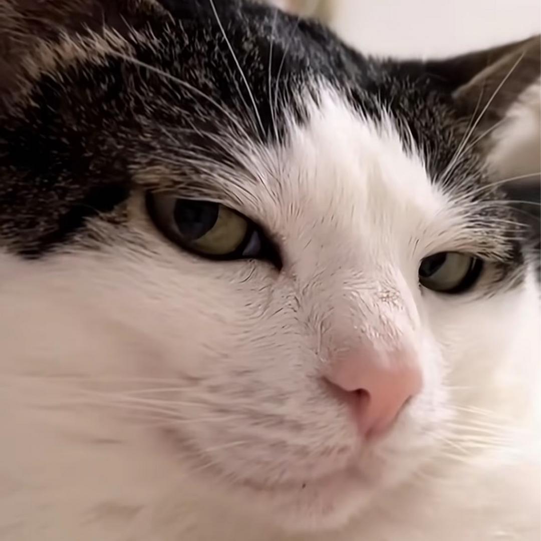 跨境外贸网络搭建