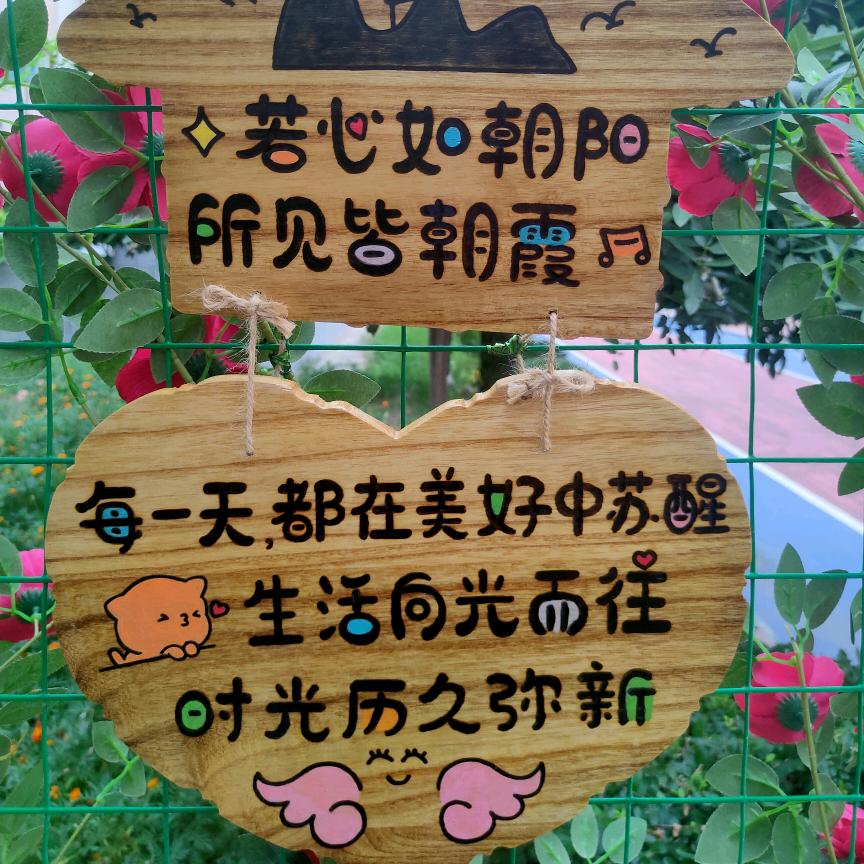 80后👄小杨👍记录生活