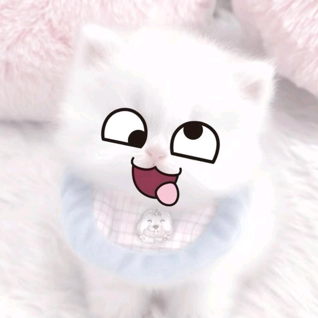 nullㅤ