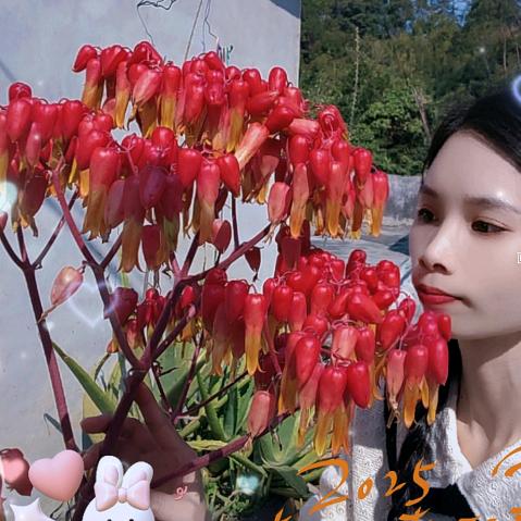 燕