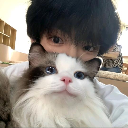 白阿叔